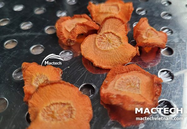 Máy sấy cà rốt Mactech