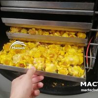 Máy sấy thăng hoa trà hoa vàng Mactech