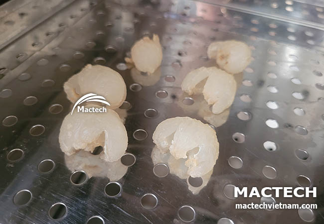 Máy sấy long nhãn Mactech