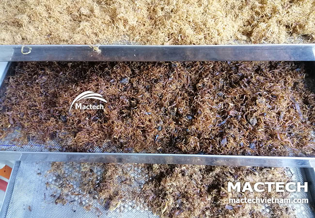 Ruốc nấm sấy khô