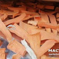 Máy sấy cà rốt Mactech