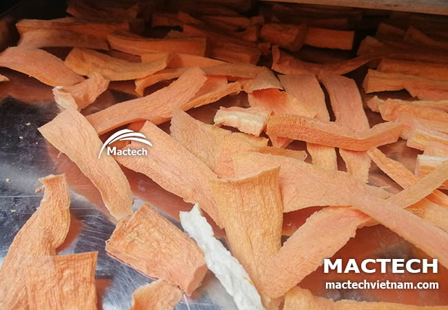 Máy sấy cà rốt Mactech