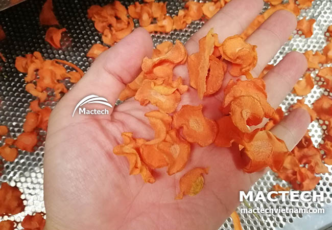 Máy sấy cà rốt Mactech