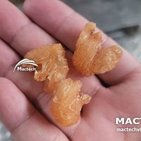 Máy sấy long nhãn Mactech