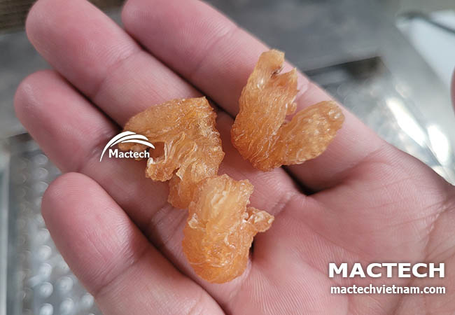 Máy sấy long nhãn Mactech