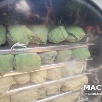 Máy sấy thăng hoa trà sen nguyên bông