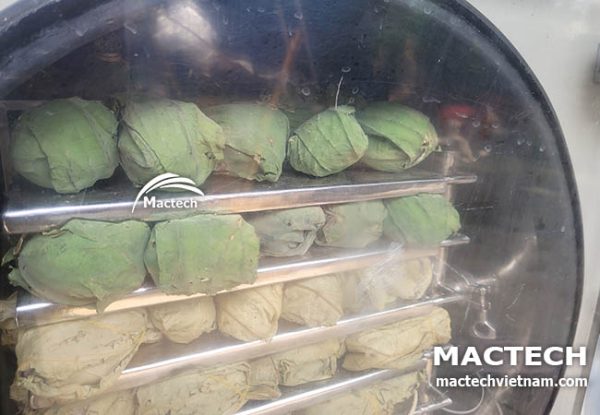 Máy sấy thăng hoa trà sen nguyên bông