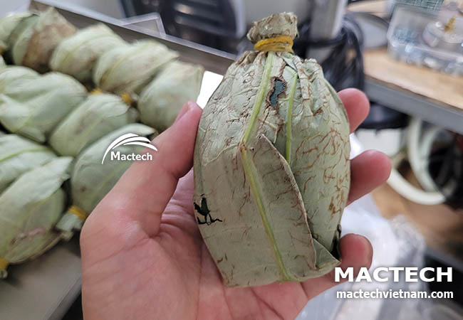 Trà sen nguyên bông