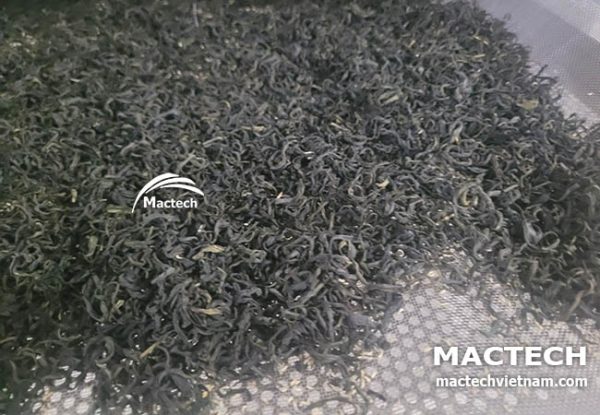Trà mạn ướp sen sấy khô