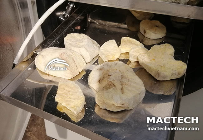 Sâm khoai sấy đông khô