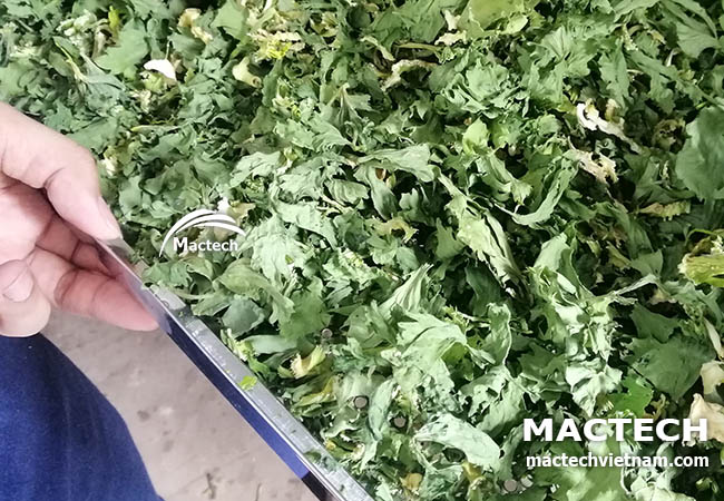 Cần tây sấy khô