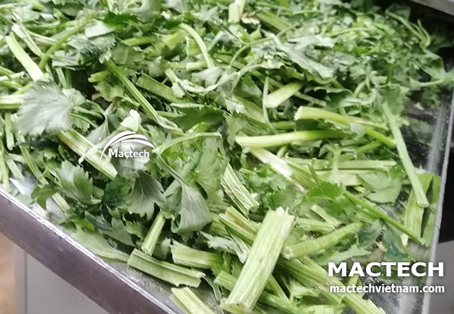 Cần tây sấy khô