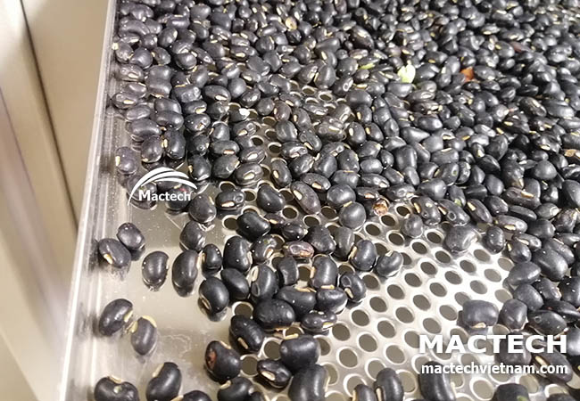 Hạt đậu đen sấy chín giòn