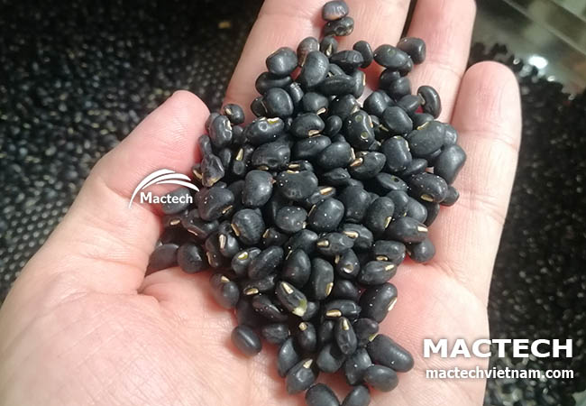 Hạt đậu đen sấy chín giòn