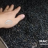Hạt đậu đen sấy chín giòn