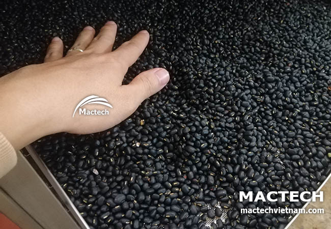 Hạt đậu đen sấy chín giòn