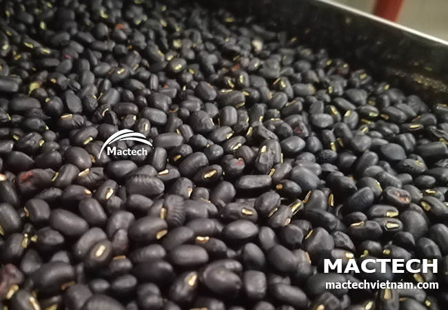 Hạt đậu đen sấy chín giòn