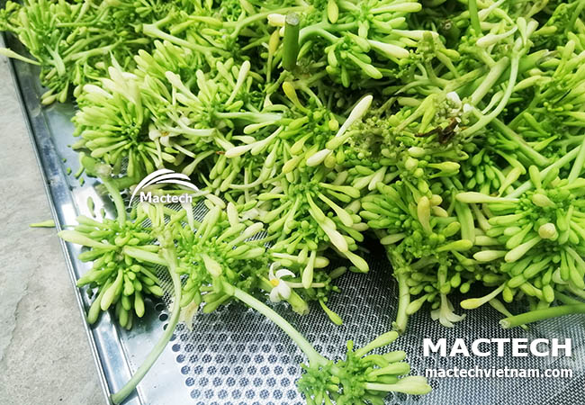 Hoa đu đủ đực sấy khô