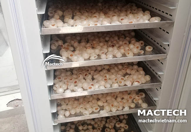 Long vải sấy dẻo