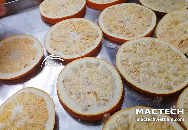 Sấy cam đông khô