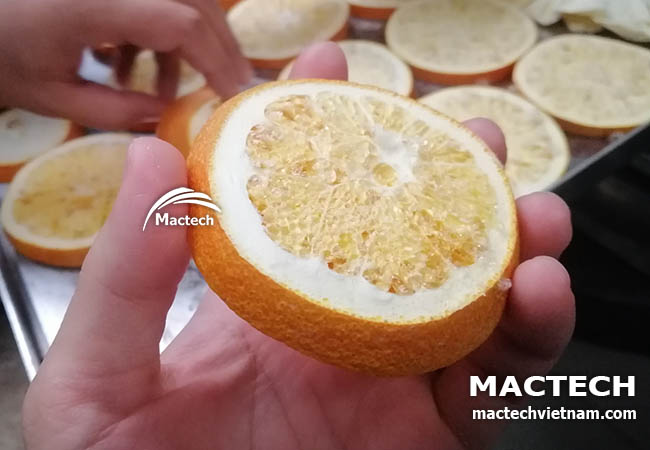 orange Freeze Drying