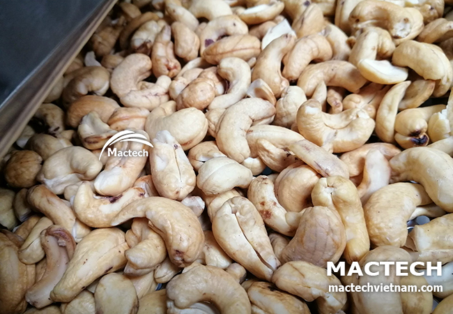 Hạt điều sấy giòn bằng công nghệ sấy nhiệt