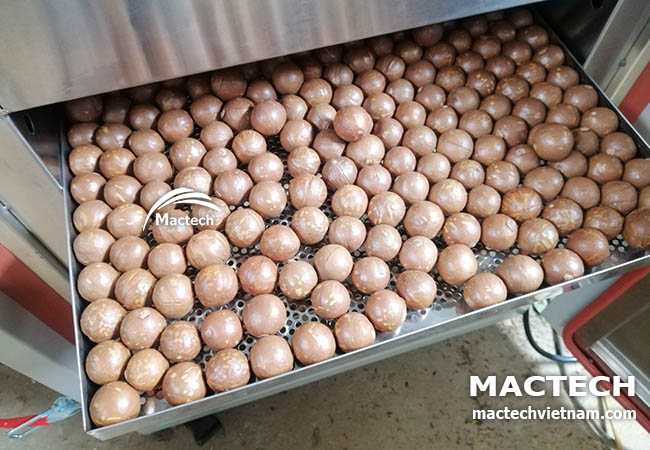 Hạt macca sấy chín thơm