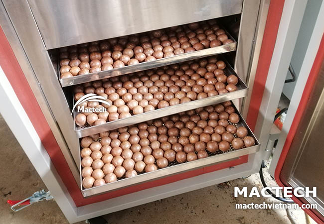 Hạt macca sấy chín thơm