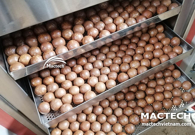 Hạt macca sấy chín thơm