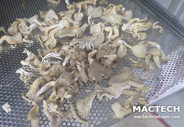 Nấm sò sấy khô