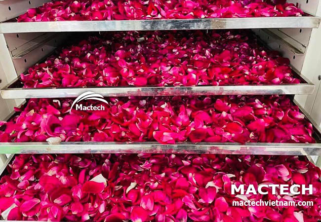 Cánh hoa hồng sấy khô