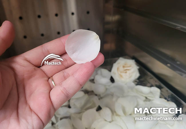 Cánh hoa hồng sấy khô