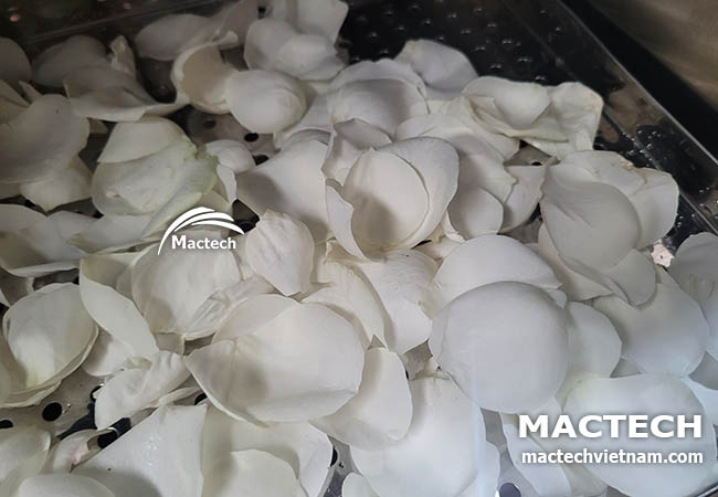 Cánh hoa hồng sấy khô