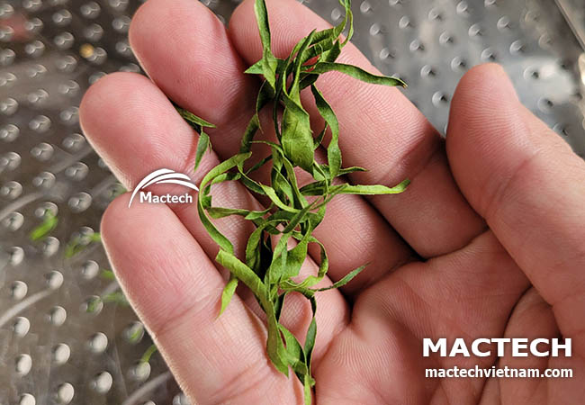 Lá chanh sấy khô