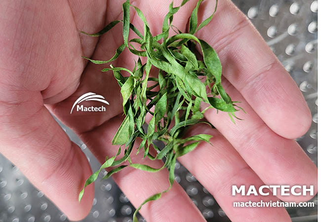 Lá chanh sấy khô