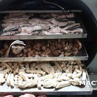 Máy sấy thăng hoa cá rô phi Mactech