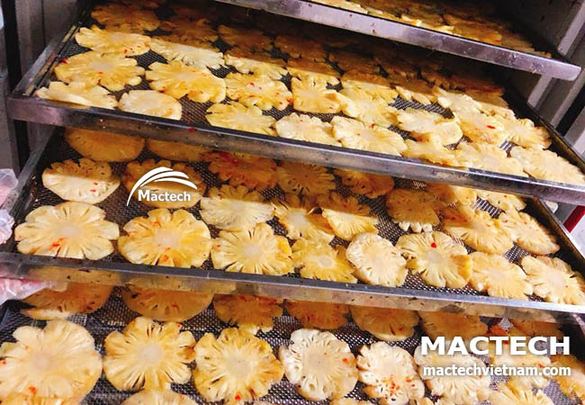 Máy sấy dứa dẻo Mactech