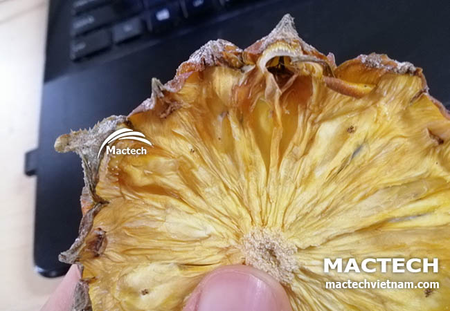 Máy sấy dứa dẻo Mactech