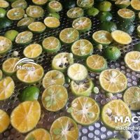 Quất sấy khô làm thuốc