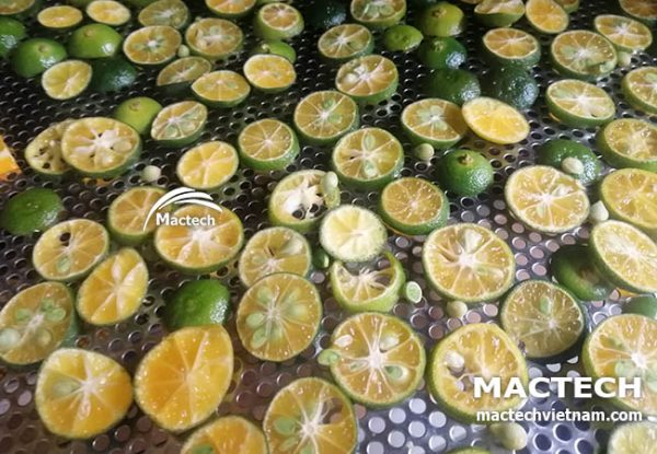 Quất sấy khô làm thuốc