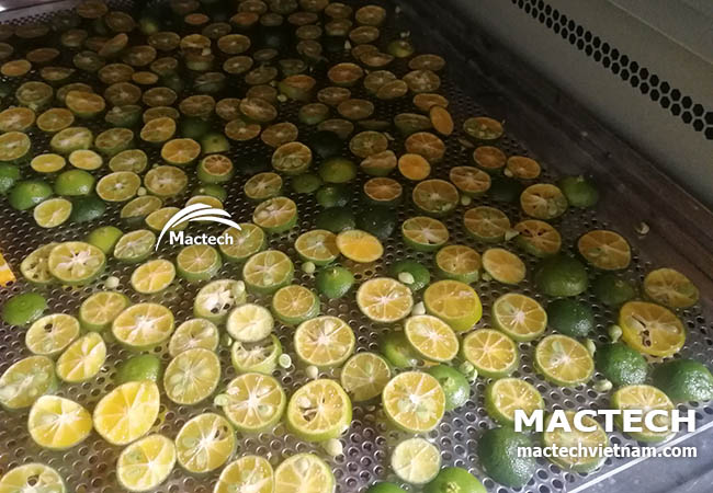 Quất sấy khô làm thuốc