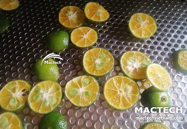 Quất sấy khô làm thuốc