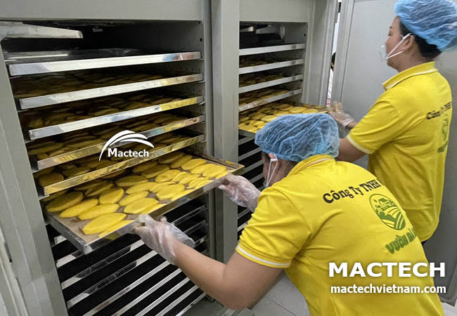 Máy sấy xoài dẻo Mactech