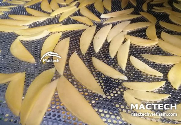 Máy sấy xoài dẻo Mactech