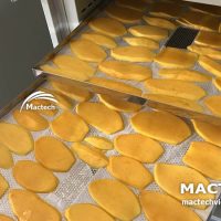 Máy sấy xoài dẻo Mactech