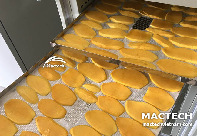 Máy sấy xoài dẻo Mactech