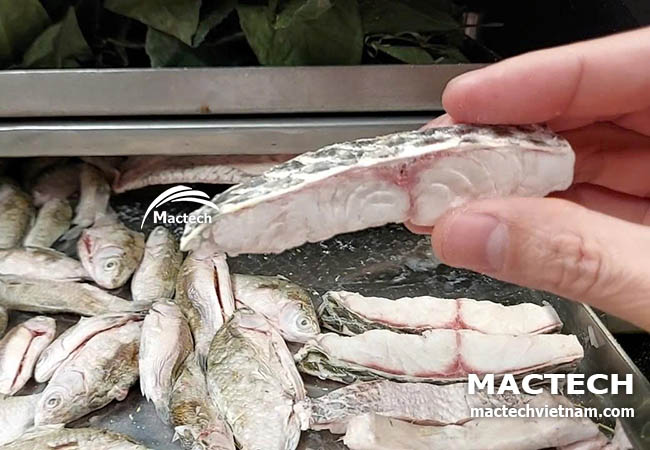 Cá rô phi sấy đông khô