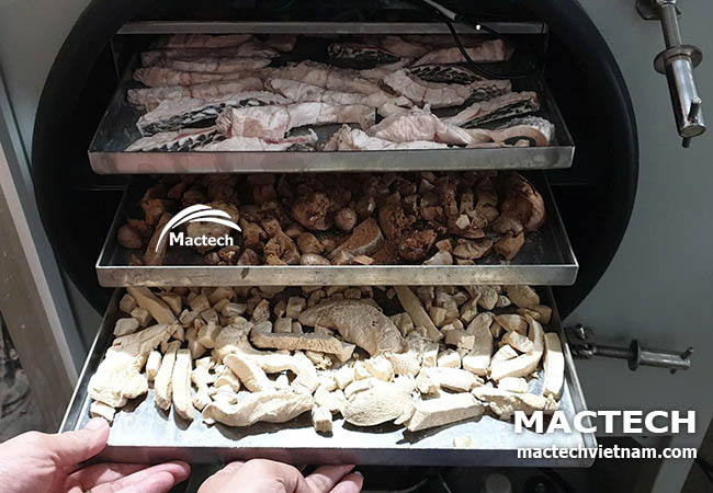 Cá rô phi sấy đông khô