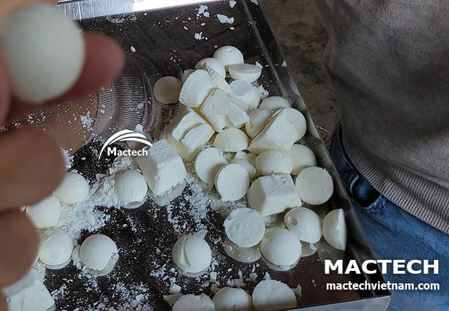 Máy sấy thăng hoa sữa chua Mactech