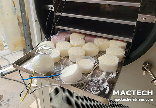 Sữa chua sấy đông khô